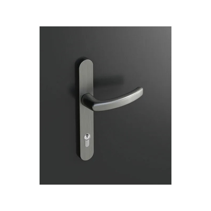 Poignée de porte R35A/2000M