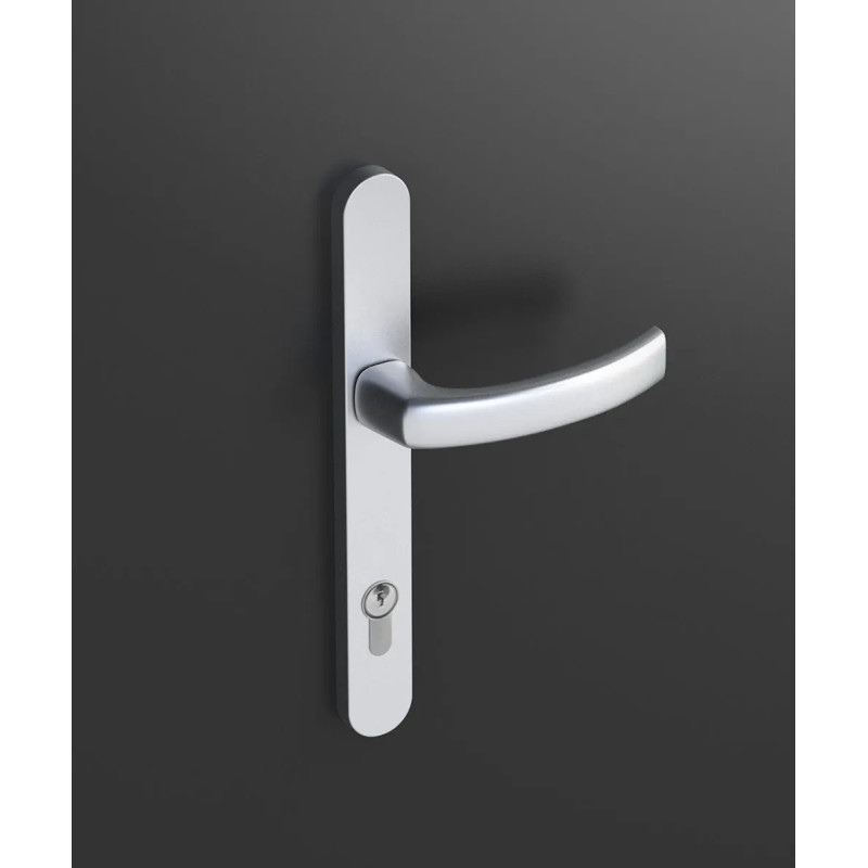 poignée de porte argente